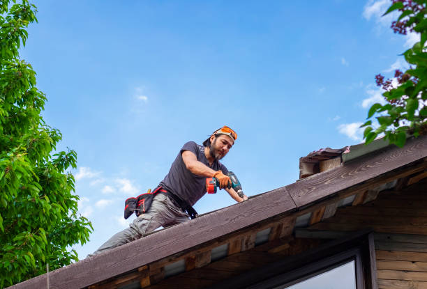 Best Roof Ventilation Installation  in Colonial Heights, VA