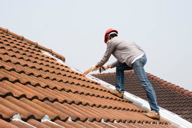 Best Skylight Installation and Repair  in Colonial Heights, VA
