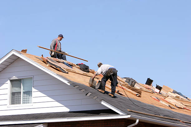 Best Gutter Installation and Repair  in Colonial Heights, VA