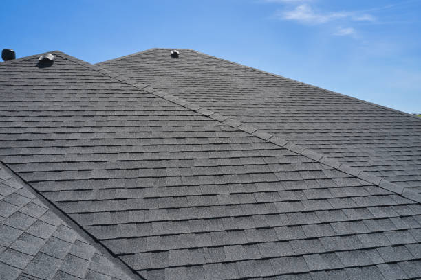 Best Roof Coating and Sealing  in Colonial Heights, VA