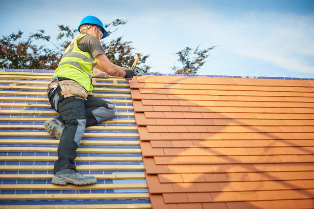Steel Roofing in Colonial Heights, VA